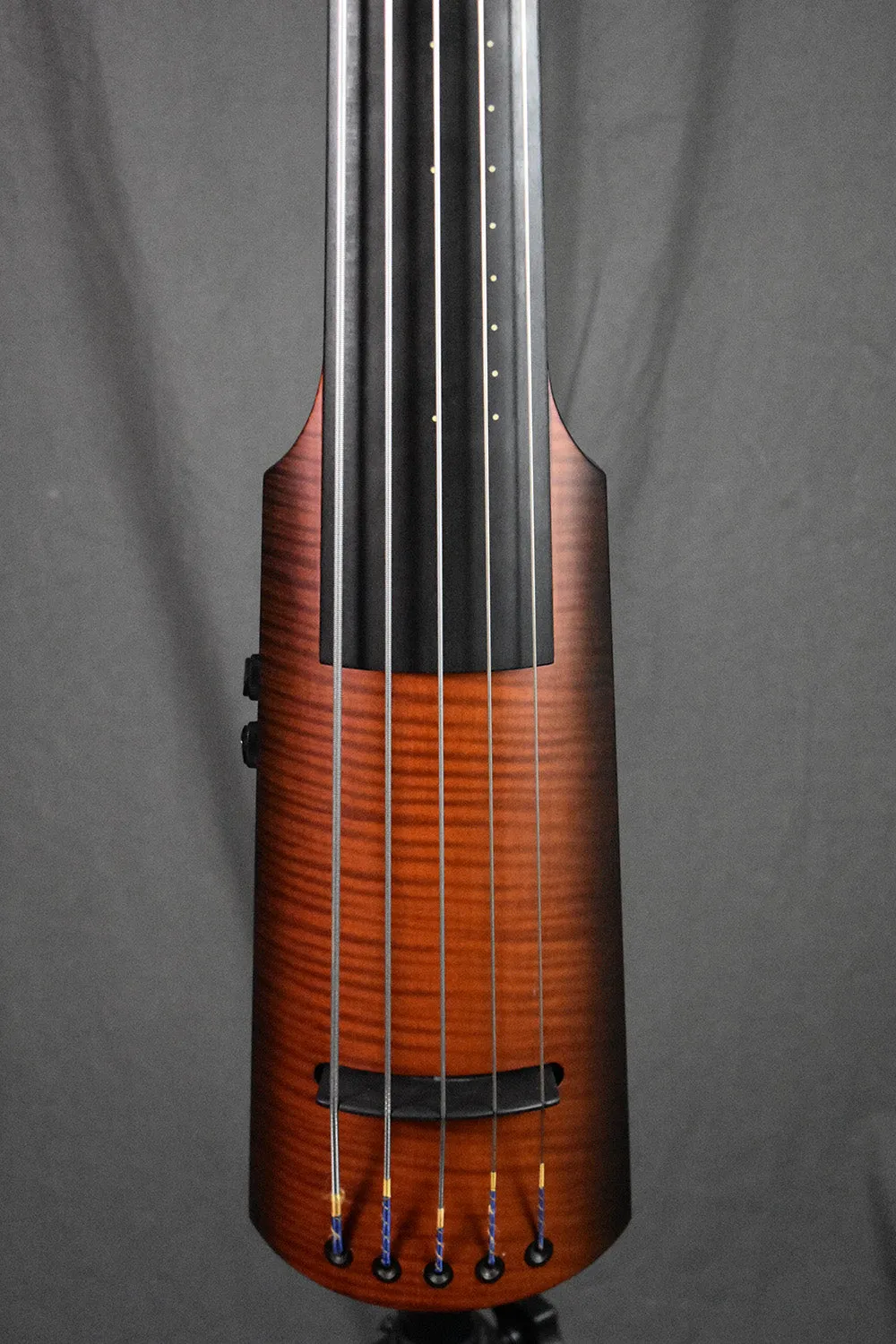 2010 NS Design NXT5a Active Bass 5-String