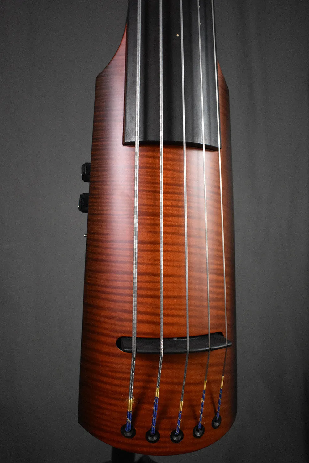 2010 NS Design NXT5a Active Bass 5-String