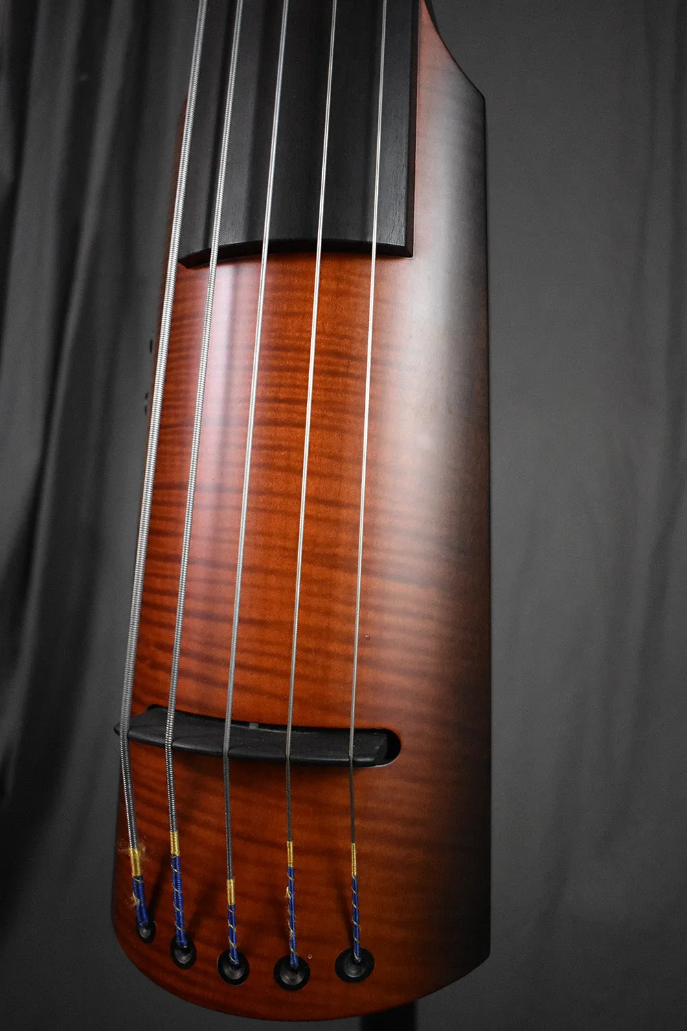 2010 NS Design NXT5a Active Bass 5-String