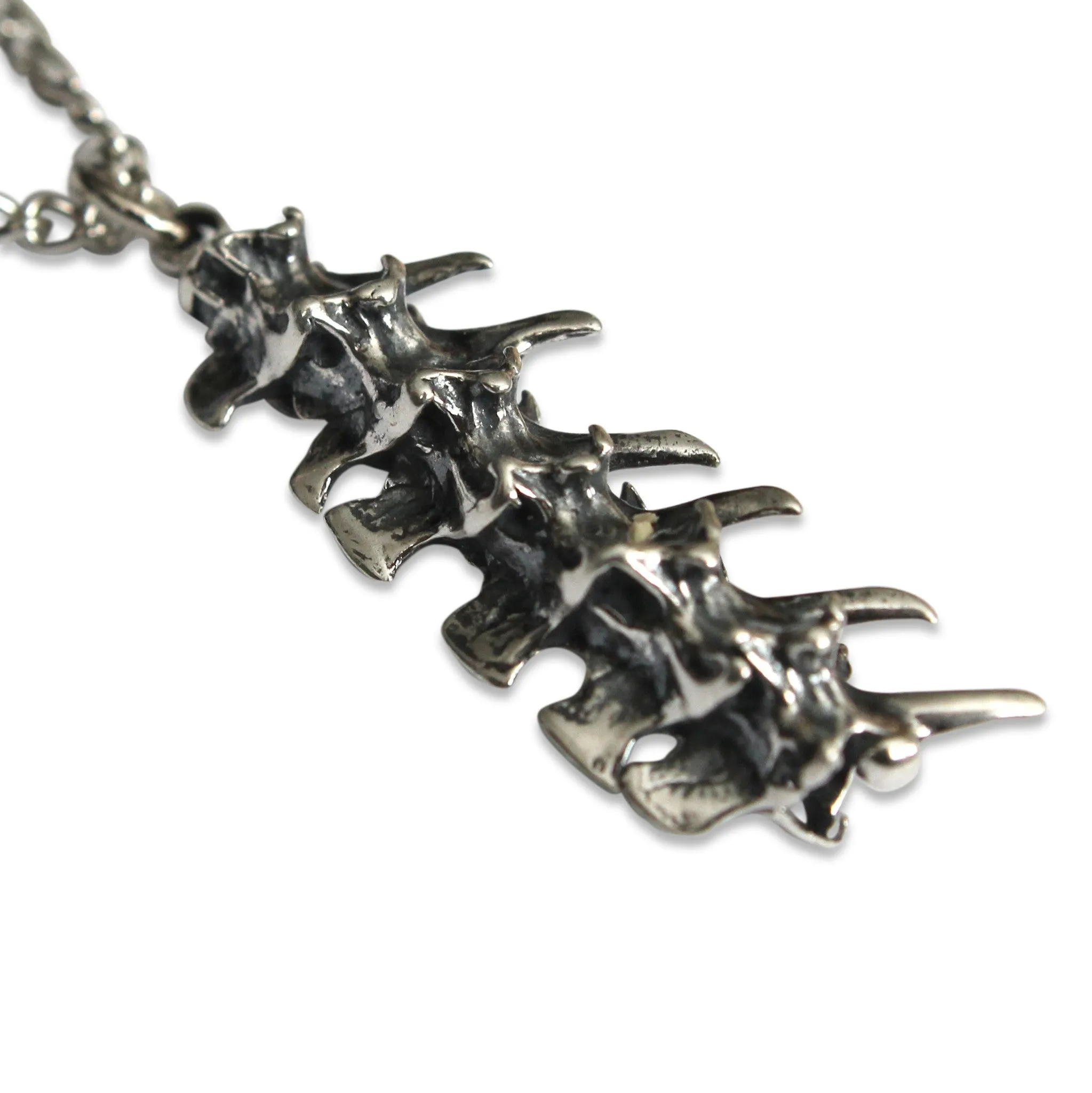 Snake Vertebrae Necklace