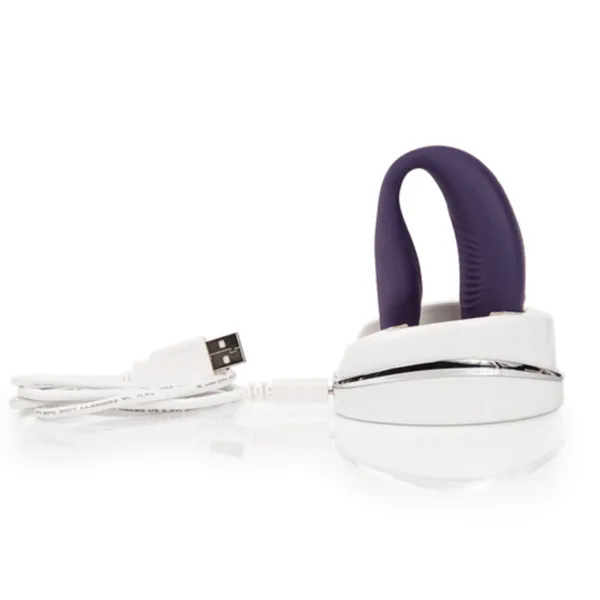 We-Vibe SYNC charger & travel case